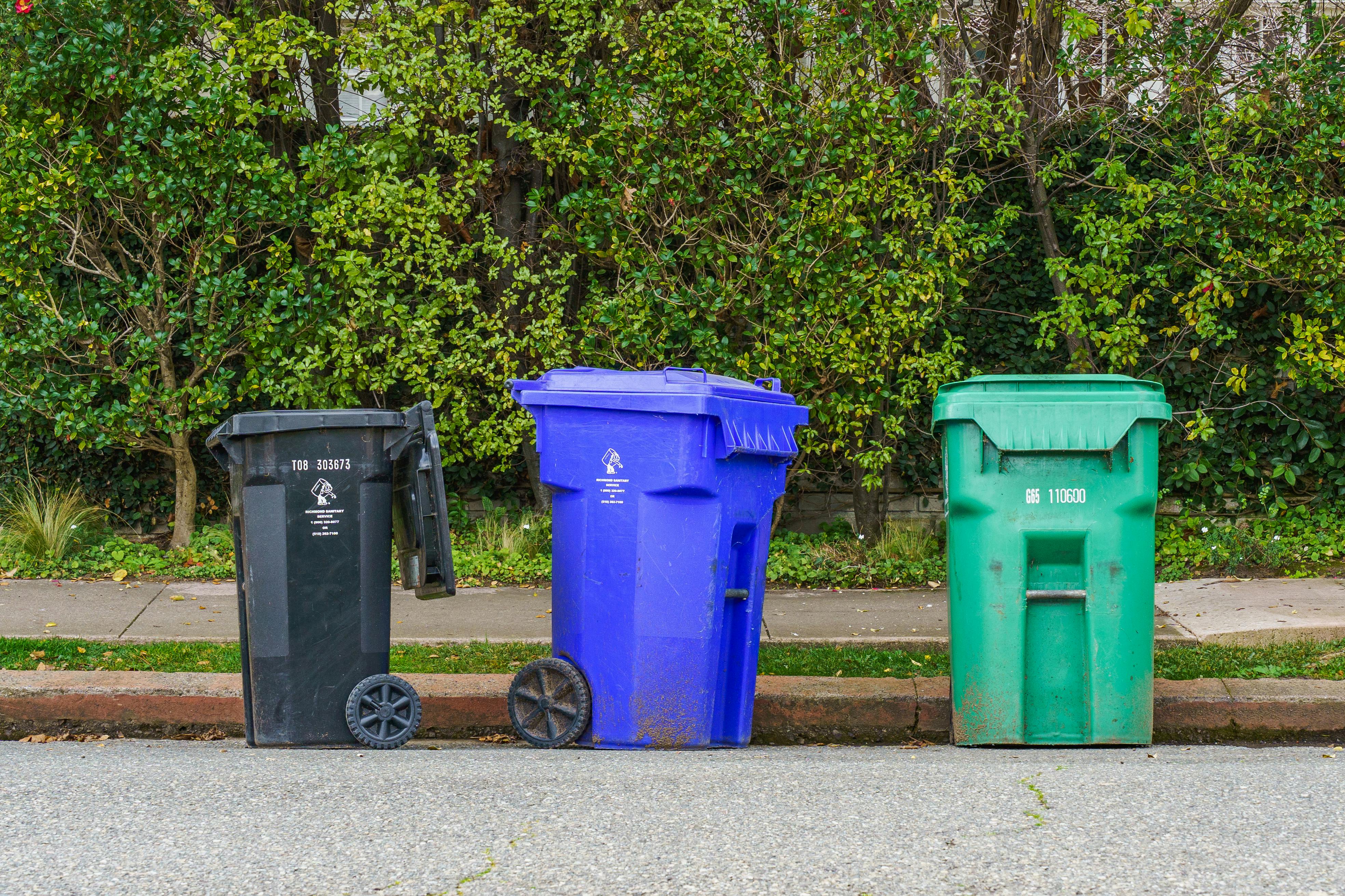 Garbage bin cleaning